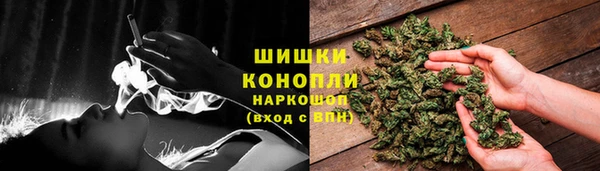 spice Бородино