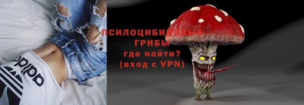 spice Бородино