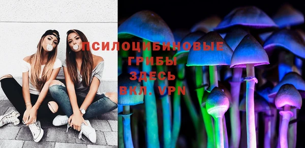 прущие крисы Бронницы