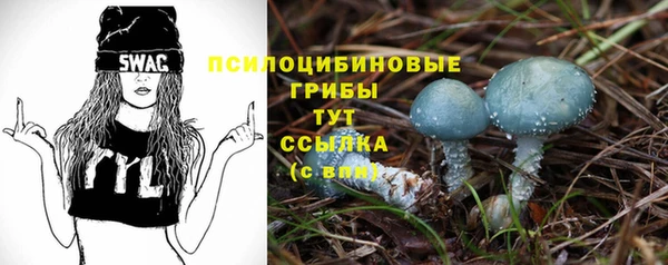 spice Бородино