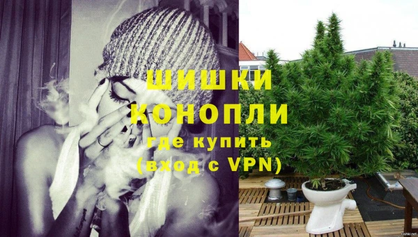 spice Бородино