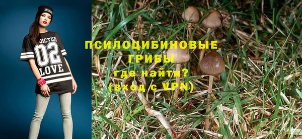 прущие крисы Бронницы