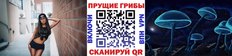 KRAKEN ссылка  Берёзовка  Галлюциногенные грибы MAGIC MUSHROOMS 